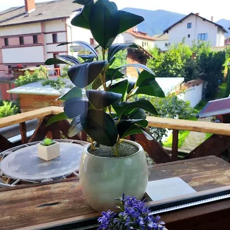 Kutelo Studio Apartamento